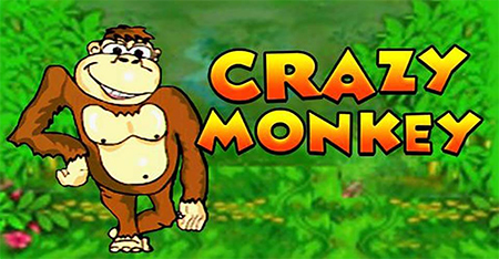 Crazy Monkey