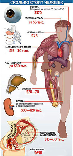 Organ_cost.jpg