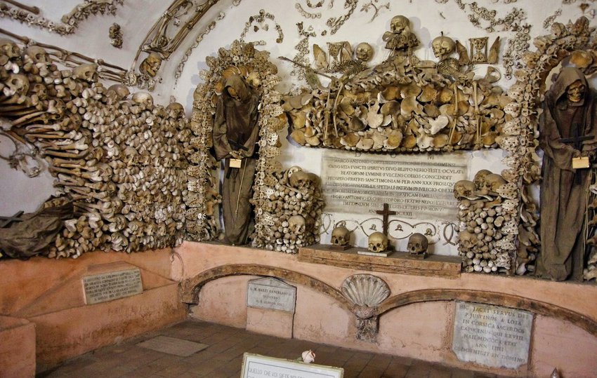Вторая жизнь останков