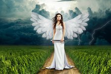 Месть – блюдо, которое подается холодным. Откуда у нас появляется жажда мести