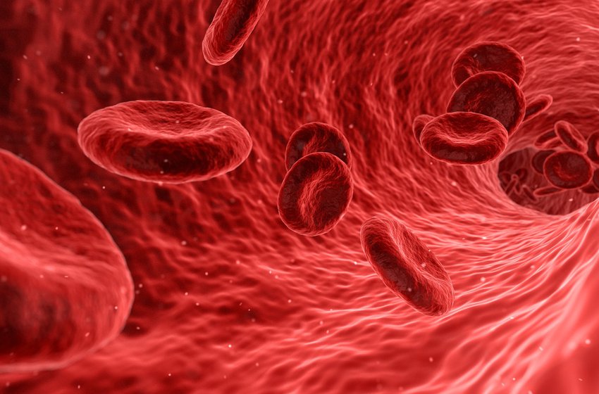 Ученые нашли способ изменять группу крови