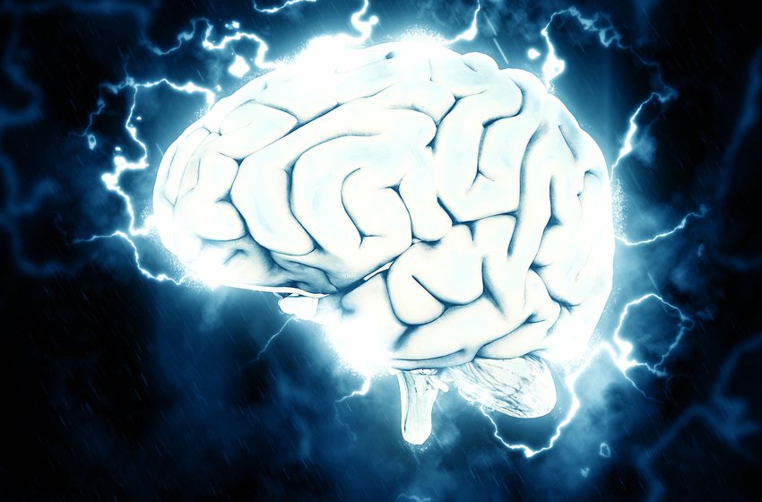 4 мифа о работе мозга