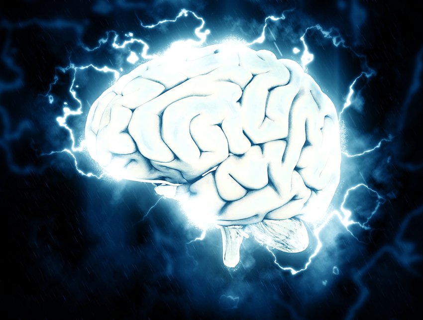 4 мифа о работе мозга