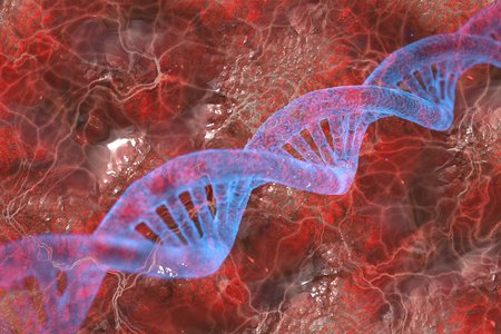 Зачем расшифровывать ваш геном