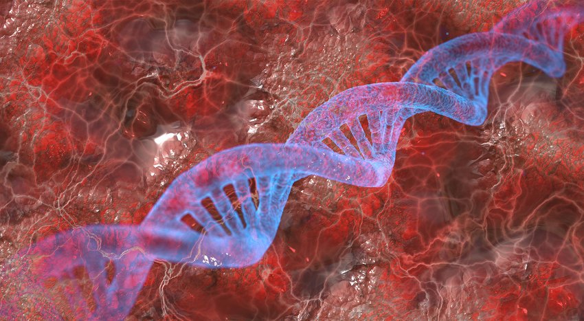 Зачем расшифровывать ваш геном