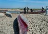 Евфрат на грани исчезновения: почему древнее пророчество становится реальностью