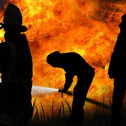 Герои с огнем: удивительные факты о пожарниках