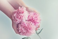 Какие цветы чаще всего заказывают в Канаду
