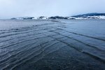 Жизненно важные факты, которые могут однажды спасти вам жизнь