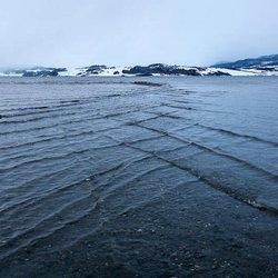 Жизненно важные факты, которые могут однажды спасти вам жизнь