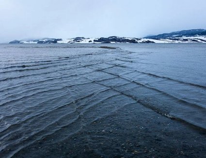 Жизненно важные факты, которые могут однажды спасти вам жизнь