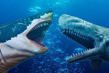 Мегалодон, кархародон мегалодон - самая крупная акула