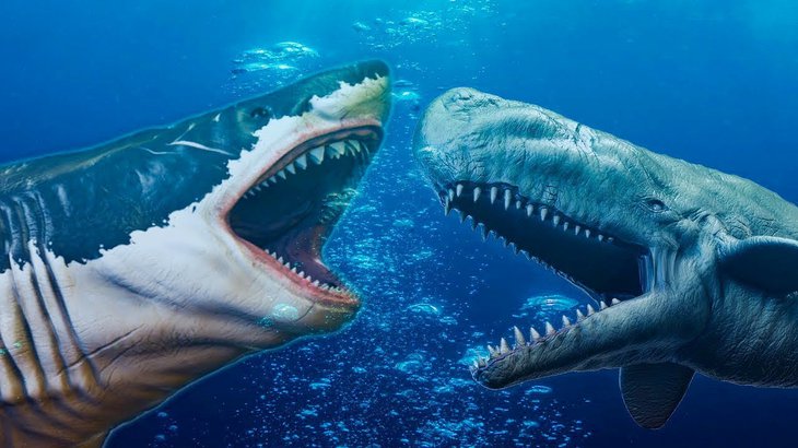 Мегалодон, кархародон мегалодон - самая крупная акула