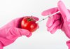 Боятся или не бояться нам продуктов с ГМО?