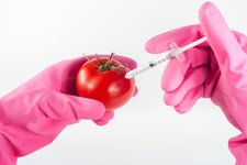 Стоит ли опасаться продуктов с ГМО? Разбираем мифы и факты