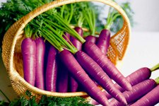 Настоящая морковка - фиолетовая