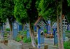 Чимитирул-Весел, или Весёлое кладбище