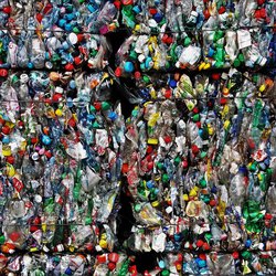 Правда и вымыслы о вреде пластиковых пакетов